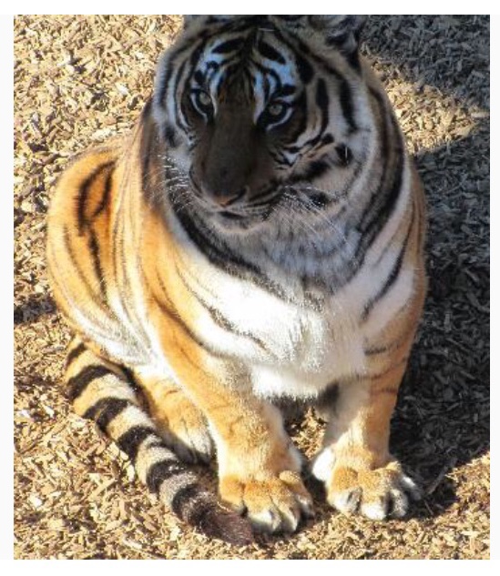 E6A99887-B105-4D4E-B13E-7591C01629A5