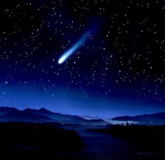 C5919534-77BE-478E-A208-DD0511ED0973