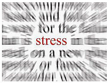 234D9570-FC32-4801-8616-F9D578630B9B