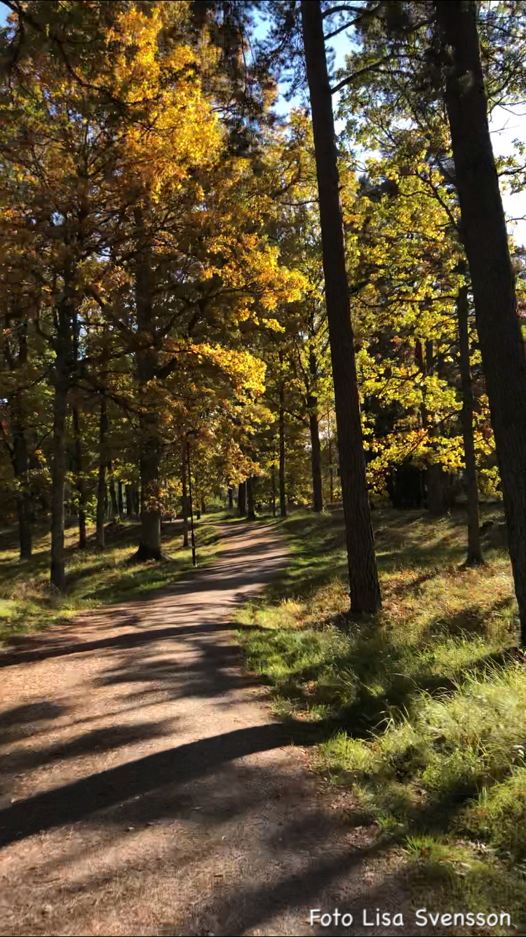 5AF242C2-F7C4-4621-A9A9-B0831893AEFB