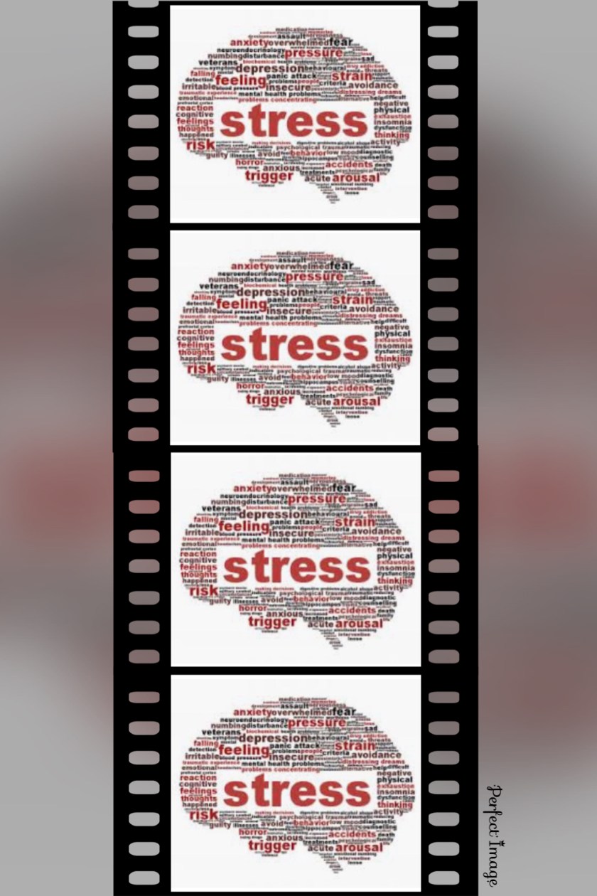 5EB9B403-C3A3-4194-B685-C9F06A27E2C1