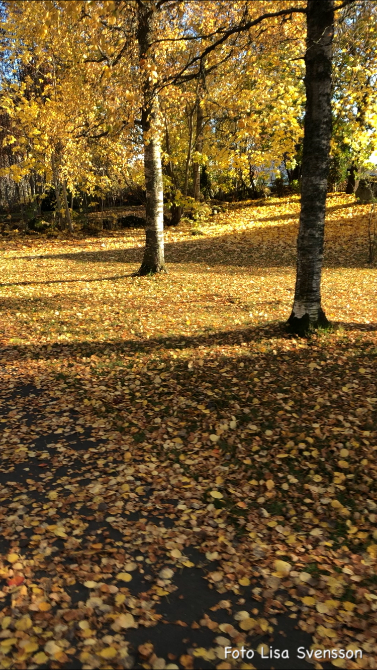 7FA3C727-6DDE-4F77-9FBC-1F6D7DE37223