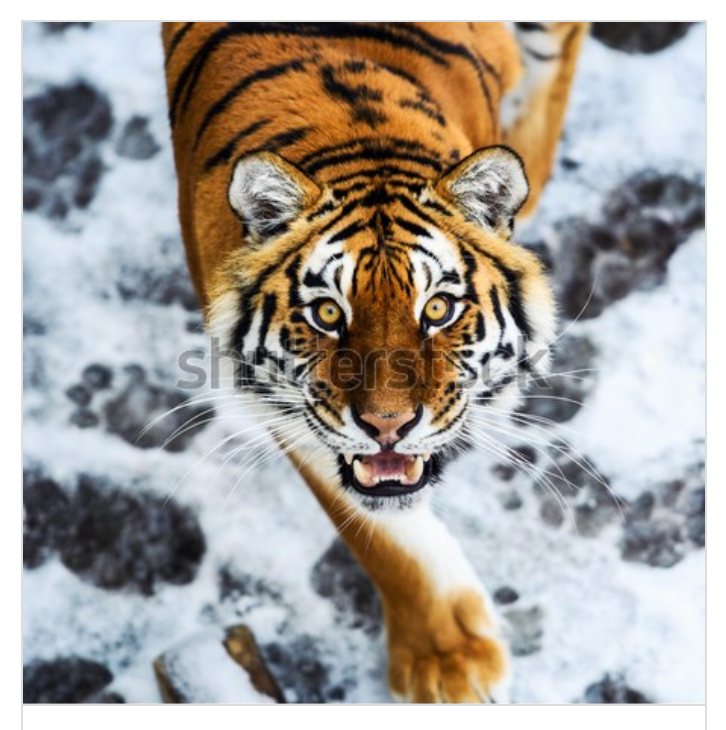 FA56DF30-25FB-480A-B3DE-2056F5199E49