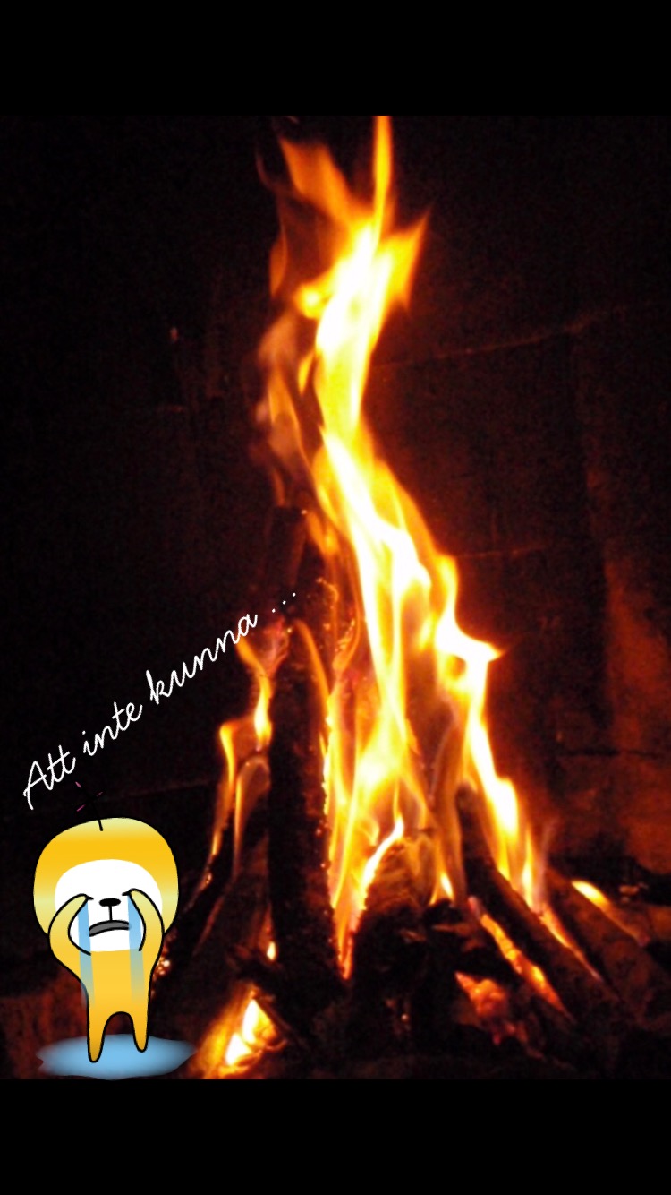 941D8019-705C-40CB-9D4F-5283E5A76A07