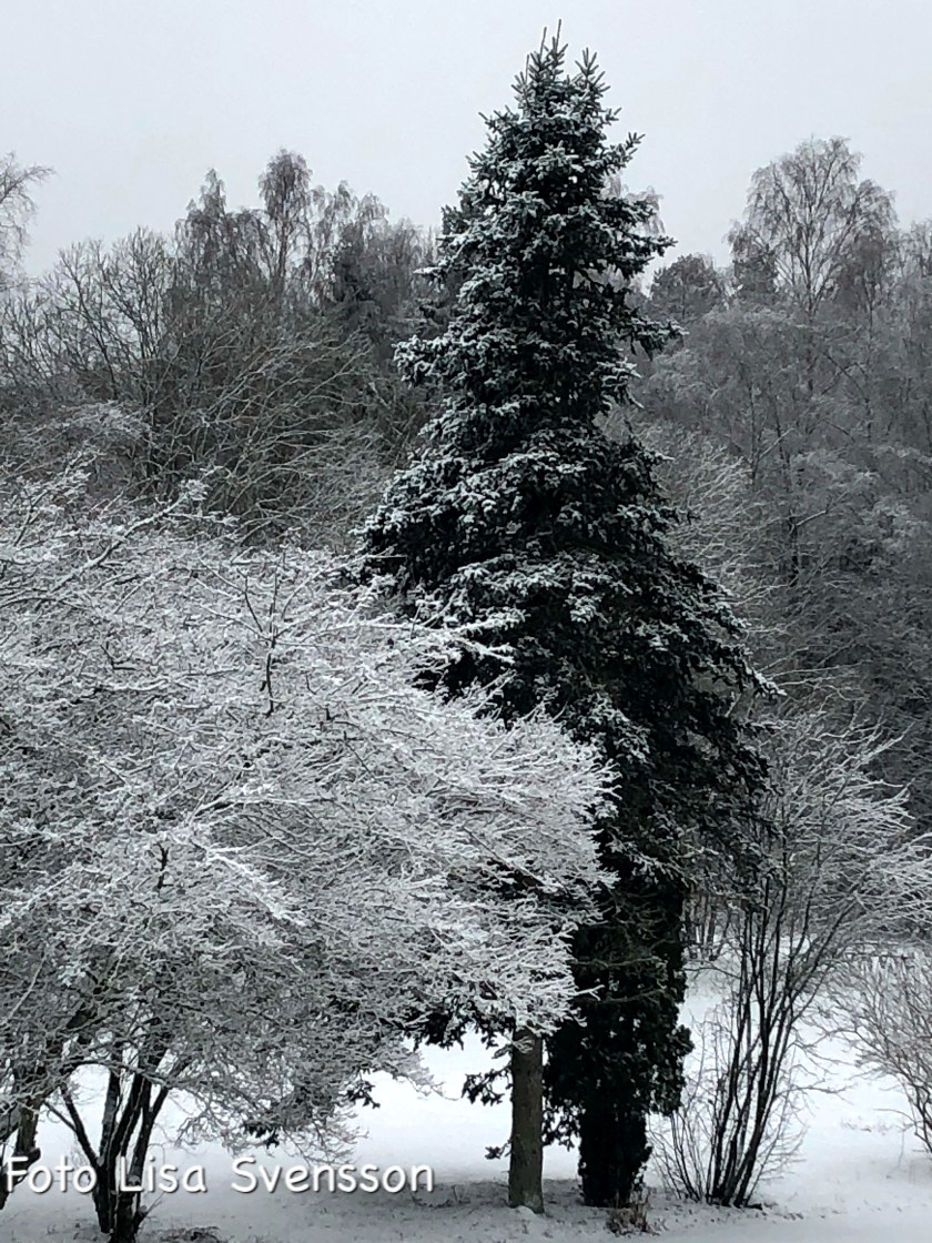 0bbba90d-8746-4f00-b227-527216f79b81