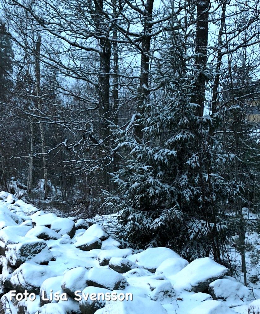 15da7f5d-7109-4779-8775-c1dbf024c519