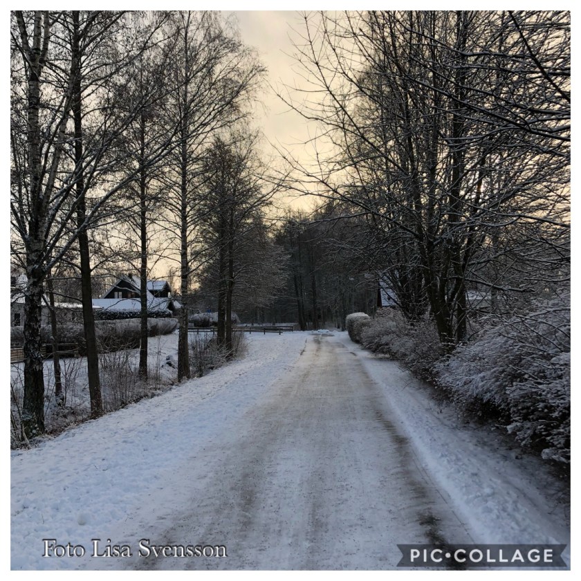 15fc54ba-1da0-4701-879e-e2990d597d47