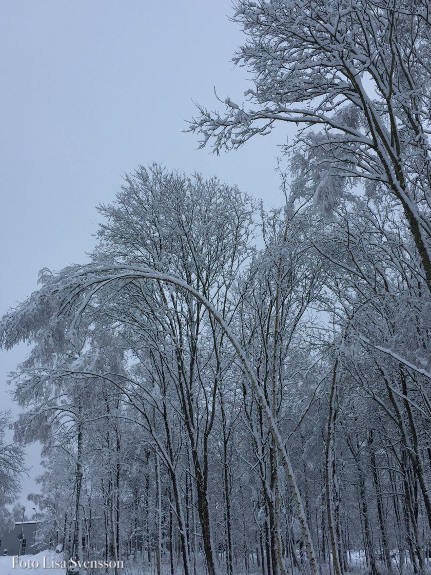 2d404da2-7f03-45fb-b3fc-503c2349e75e