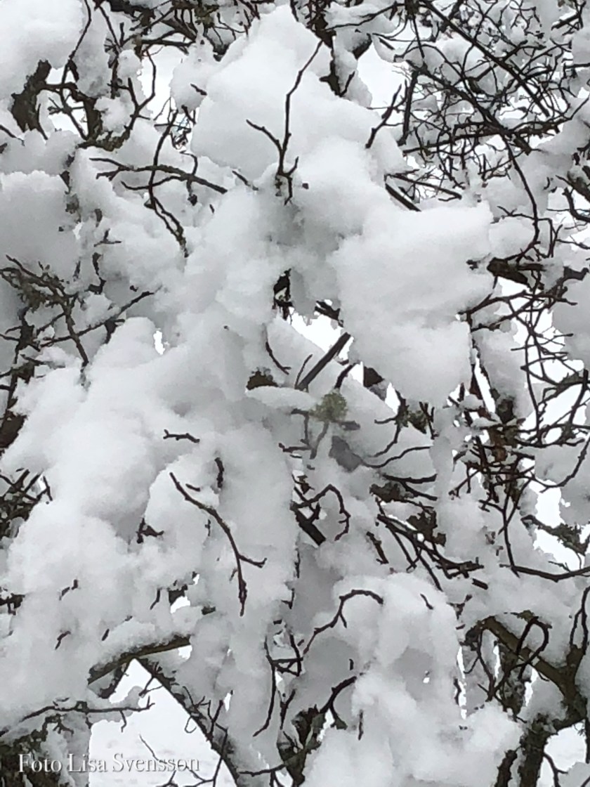 49e3843b-35f9-47e4-838a-5021382468d4