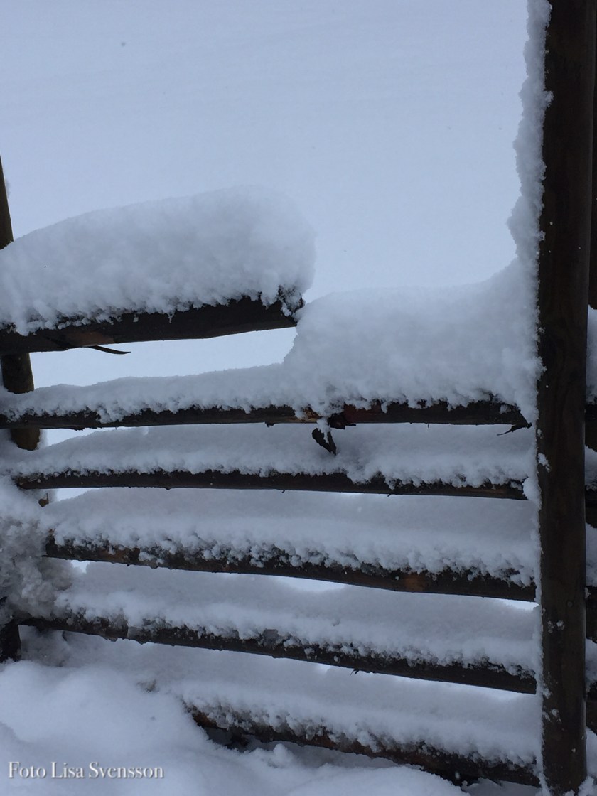 4d5b4dfa-7ece-4c16-a867-bffd4794e48f