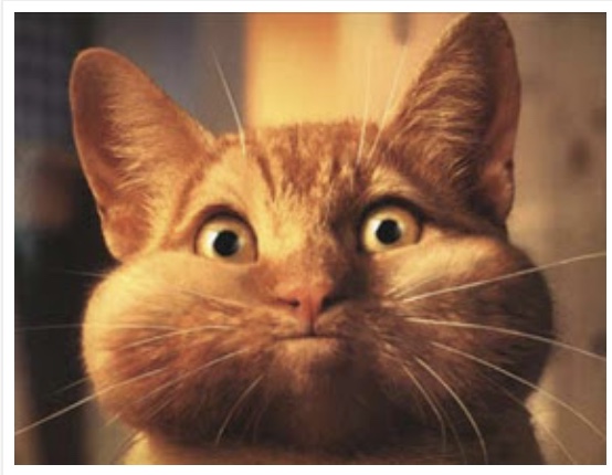 606e03b4-568d-456d-81c0-d9ec14f4ccd3