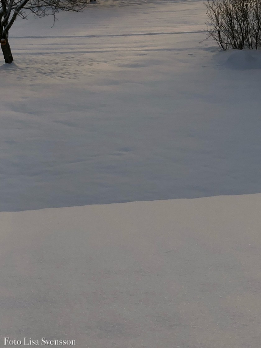 66758e8c-53d5-4ecb-ad01-47d5814a4635