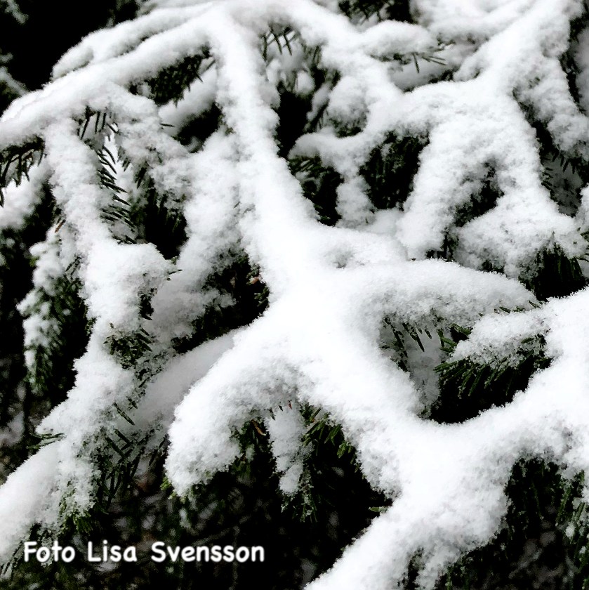 6a31d20a-f89b-488c-b4d5-819832e887c7