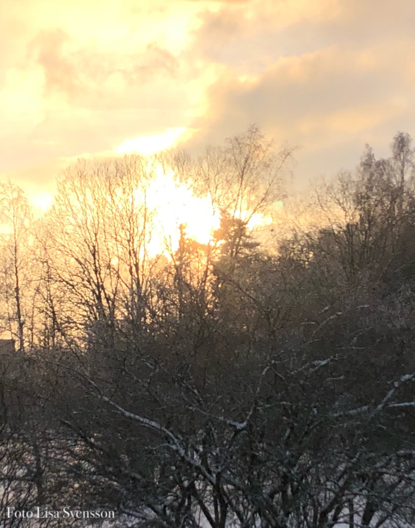 6b04086f-4ad6-4ee9-9d07-3b81a01c4a7e