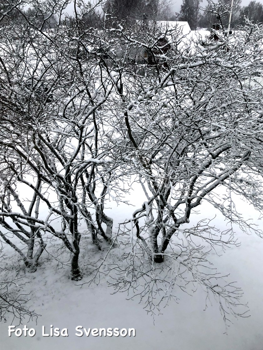 a0f7b741-647c-427d-8481-9b008494bef8