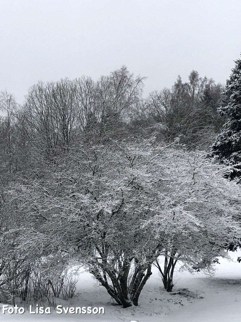 a696b8d7-7690-4d49-a1f5-981bdc282e4a