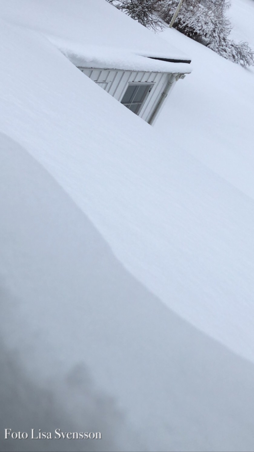 b39b328a-317f-4b57-9ceb-8a23a12d5a01