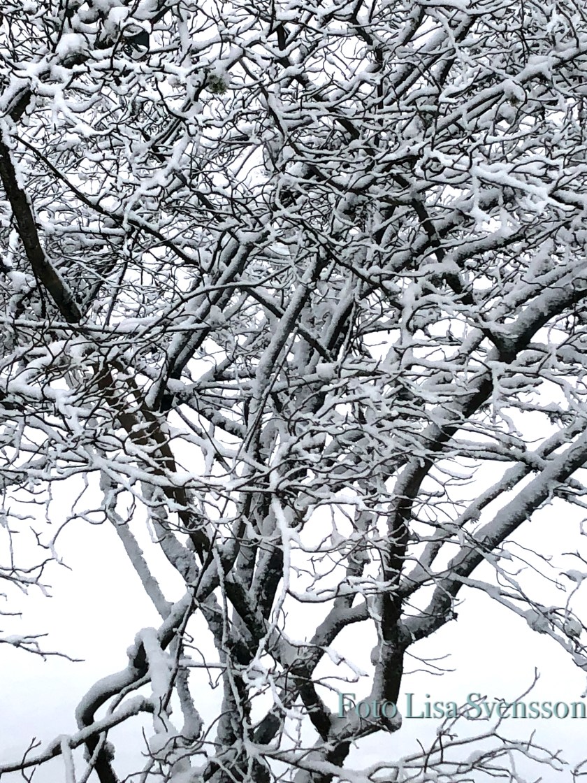 e858210a-a751-4195-96d8-23189a2658b5