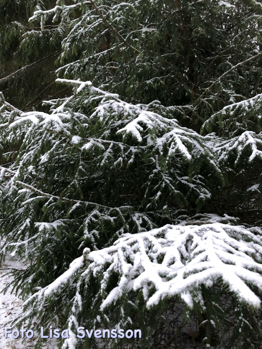 ed71c1b9-9c35-4a00-8444-b95cf5b8848a